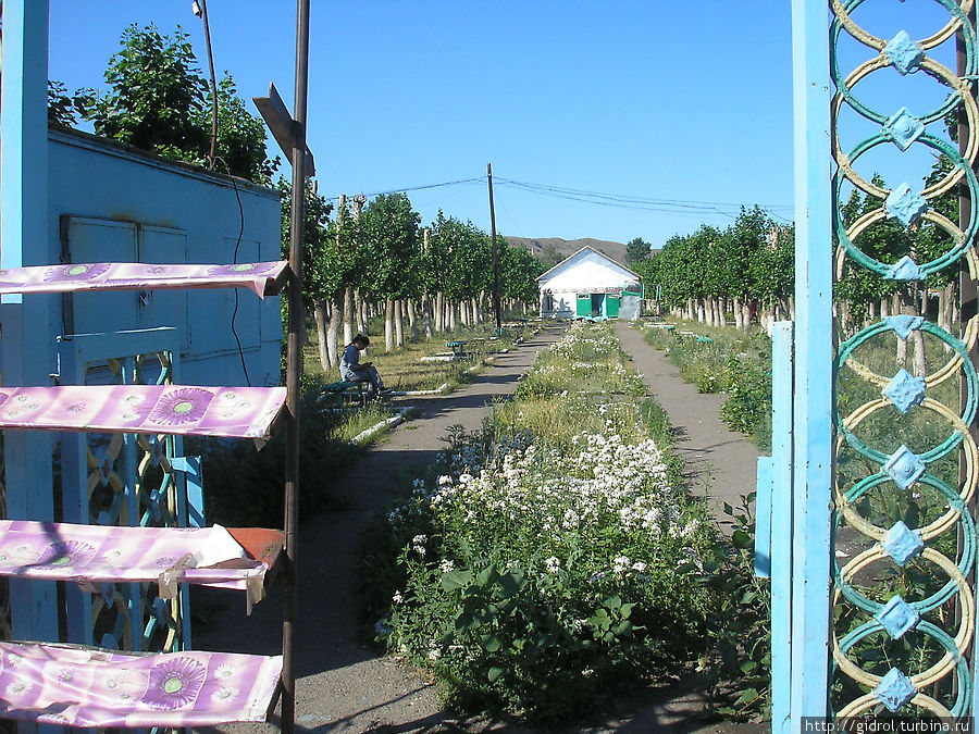 Купи Продай В Контакте Зайсан