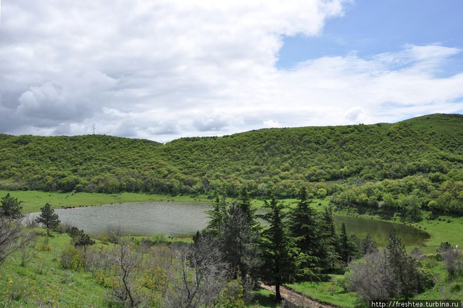 Озерко неподалеку от монастыря в чаше зеленых холмов мае казалось божественным. Мцхета, Грузия