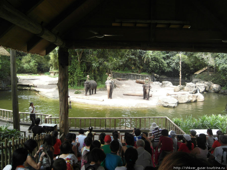 Шоу слонов Сингапур (город-государство)