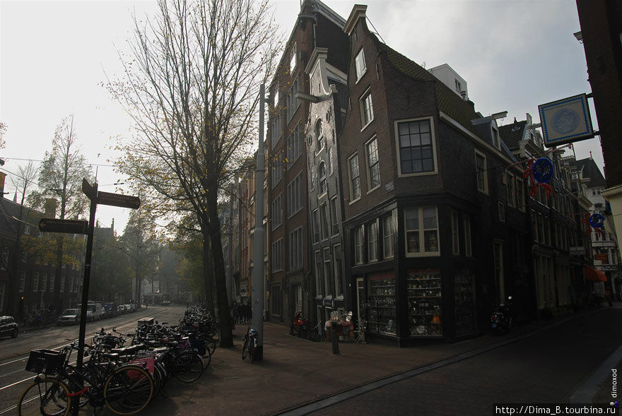 Прогулка по Амстердаму с дикими гусями Амстердам, Нидерланды