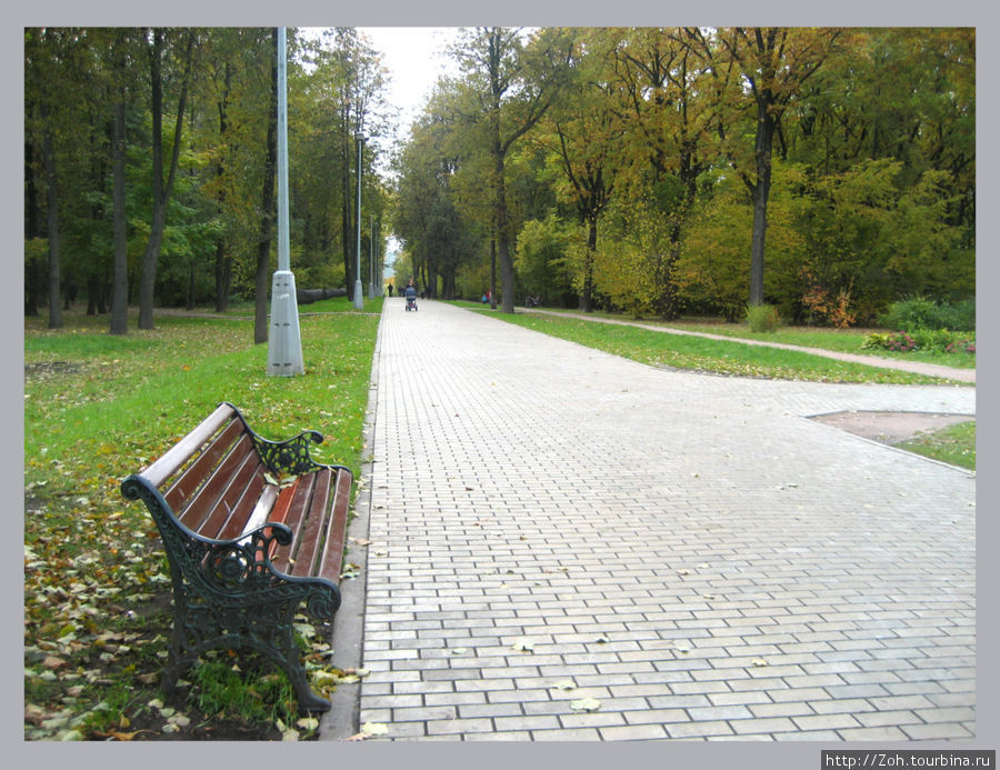 Осень отразилась в прудах Воронцовского парка. Москва, Россия