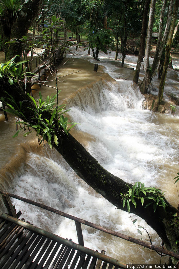 Многоуровневый водопад Тад Сэ Провинция Луангпрабанг, Лаос