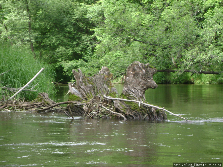 По рекам Беларуси Гродненская область, Беларусь