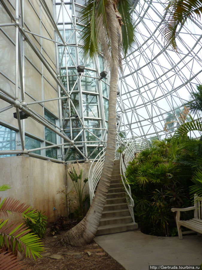 Ботанический сад - оранжереи Сан-Антонио, CША