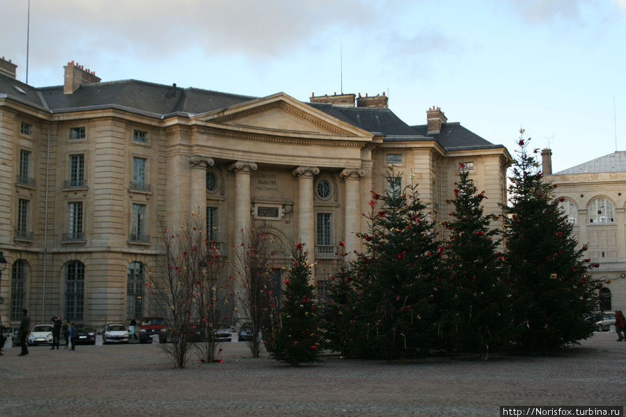 Юридический факультет (вроде), с елками, по случаю нового года, на его фоне Париж, Франция