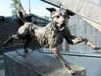 Bikkja i bakken — милейшая Собака на земле у трамплина Холменколлен.