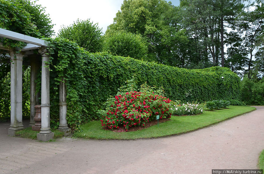 собственный садик екатерининский парк. пушкин екатерининский парк собственный садик. собственный парк. дворцово-парковый ансамбль павловск парк. екатерининский парк английский парк.