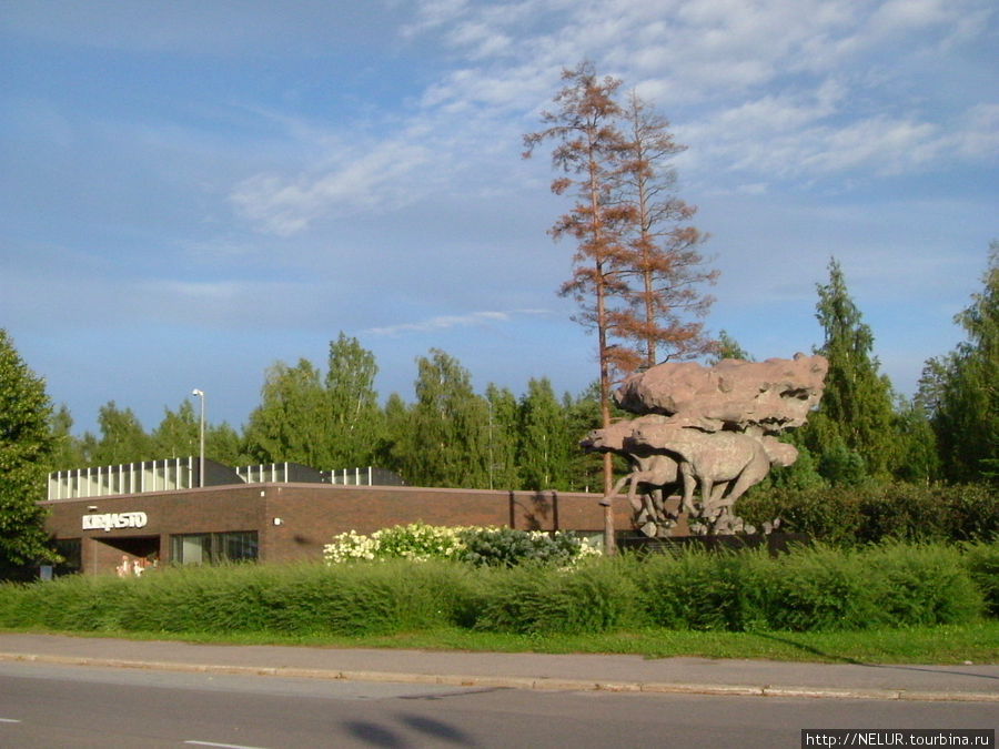 Лоси-символ финского леса. Турку, Финляндия