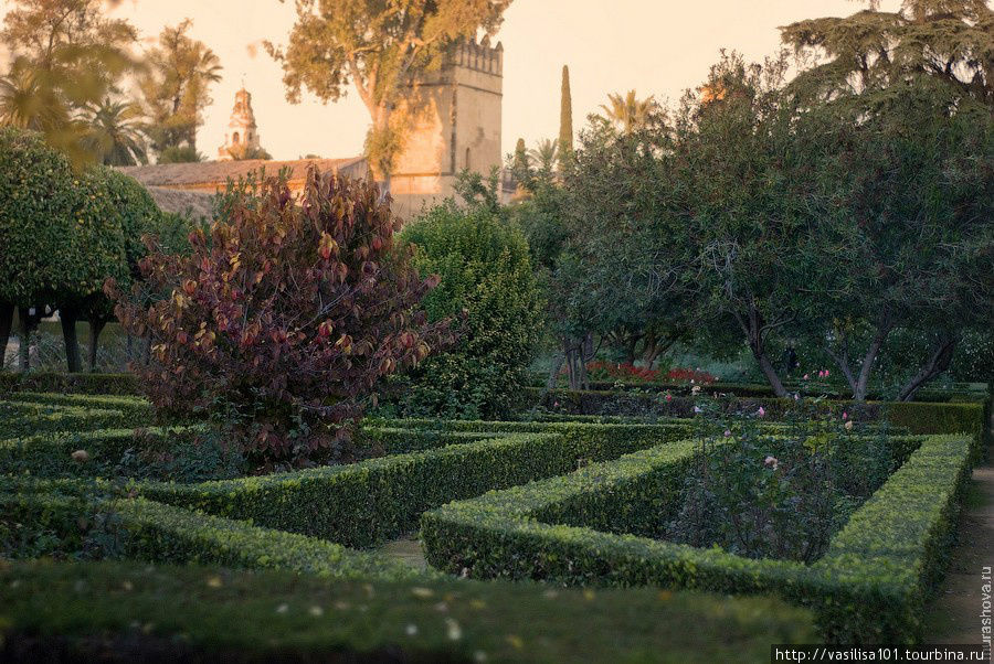 Романтика садов Алькасара в Кордове и ночной город
