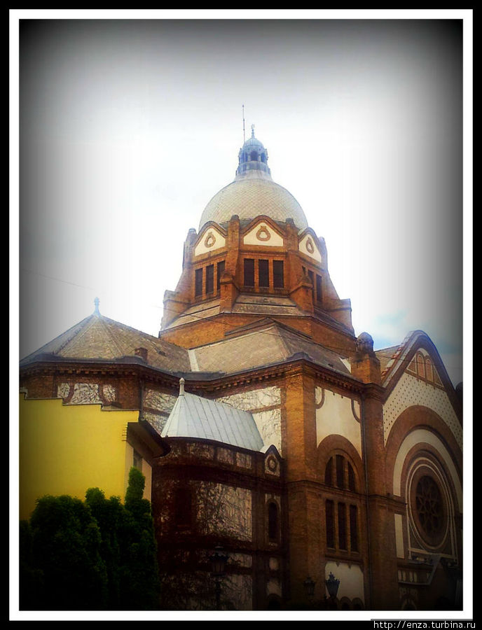 Новосадская синагога Нови-Сад, Сербия