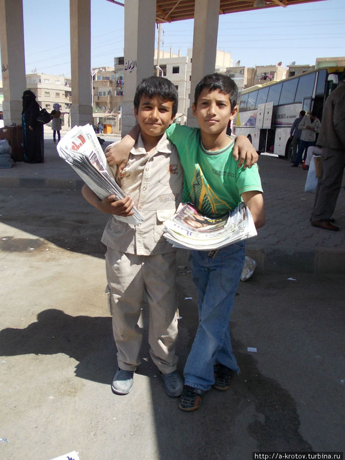 дети сирийские обыкновенные Дейр-эз-Зор, Сирия