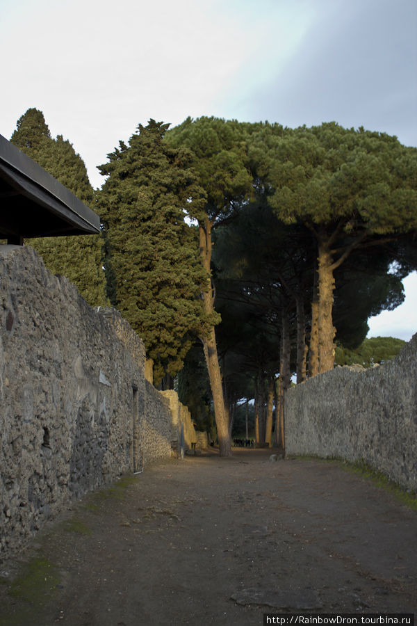 Погребённый под слоем вулканического пепла Помпеи, Италия