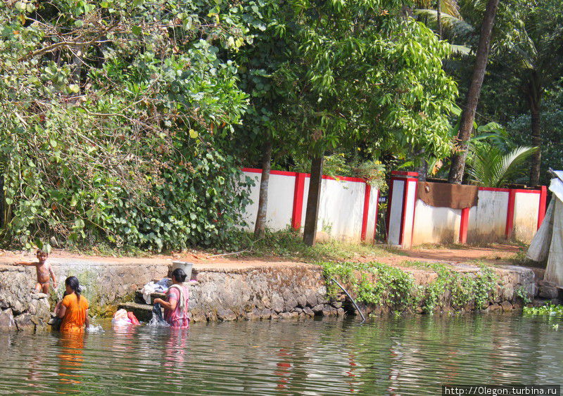 Город на каналах, заросших африканскими водорослями Аллеппи, Индия
