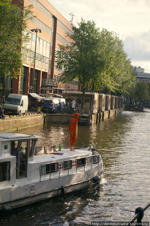 Амстердам: Доблестный, Решительный, Сочувствующий Амстердам, Нидерланды