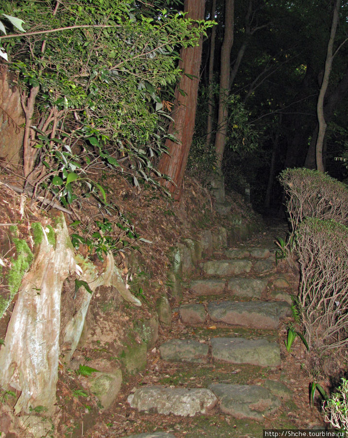 Сразу за храмом в горы уходят тропы Касугаи, Япония