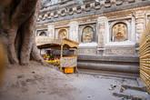 Ствол Дерева Бодхи и Ваджрасана (алмазный трон), на месте, где сидел Будда.