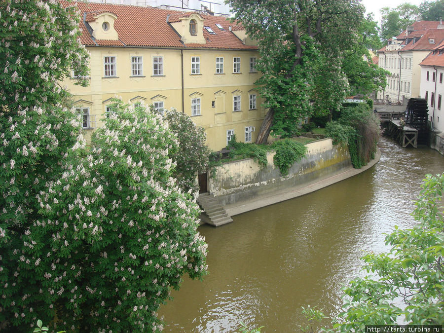 Вид на речку Чертовку с Карлового моста Прага, Чехия
