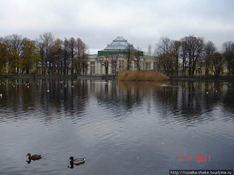 Таврический сад Санкт-Петербург, Россия