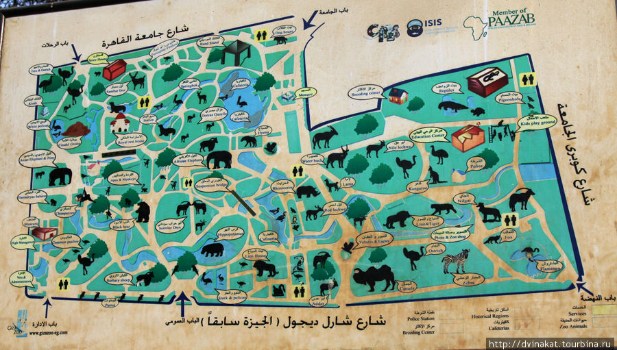 Зоопарк Гиза Каир, Египет