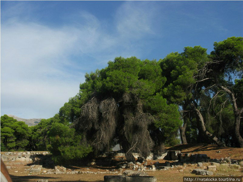 Святилище бога врачевания - Асклепион Полуостров Пелопоннес, Греция