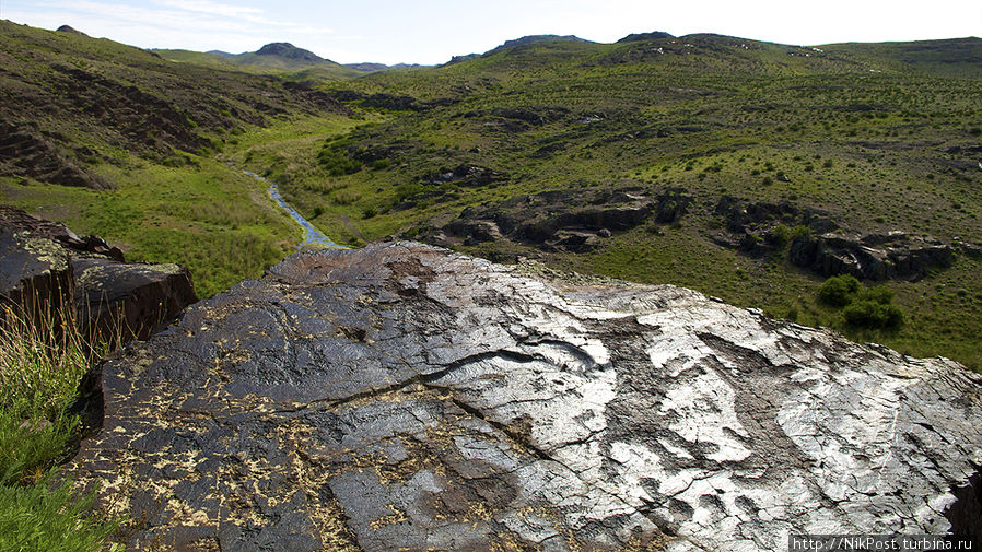 Этим петроглифам эпохи бронзы более трех тысячелетий. Древний кочевник изобразил на поверхности камня схватку двух жеребцов. Тараз, Казахстан