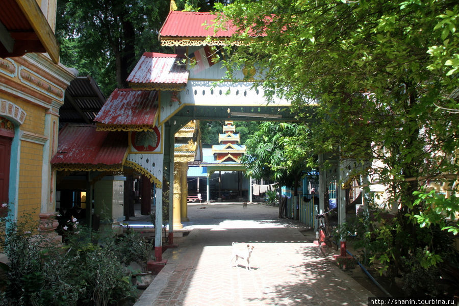 Музей Мохнина Саядава Монива, Мьянма