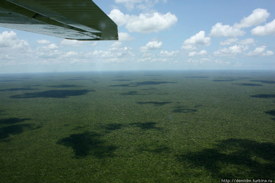 Вот такой он весь полуостров Юкатан: зеленый и совершенно плоский. Штат Кинтана-Роо, Мексика
