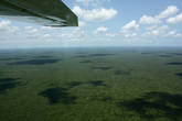 Вот такой он весь полуостров Юкатан: зеленый и совершенно плоский.