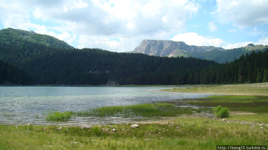 Горные очи национального парка Дурмитор Жабляк, Черногория
