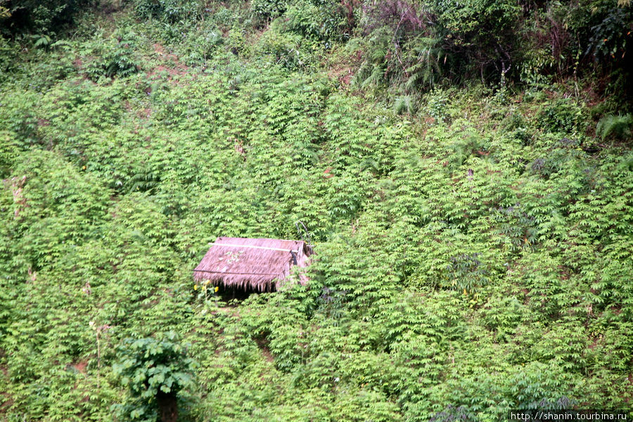 Хижина на склоне Лаос
