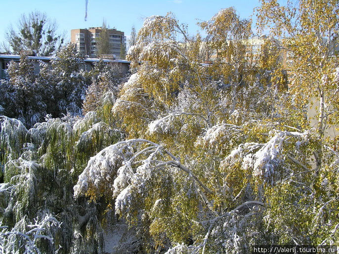 Погода раньше, лучше качеством была