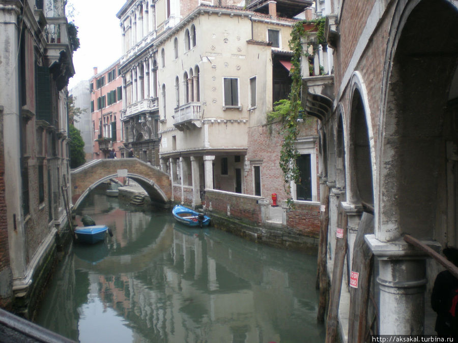 Улица, мостик, городской транспорт. Венеция, Италия