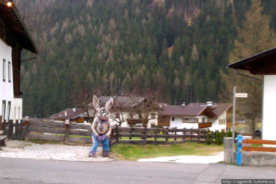 Напротив какой-то подозрительный заяц Нойштифт-им-Штубайталь, Австрия