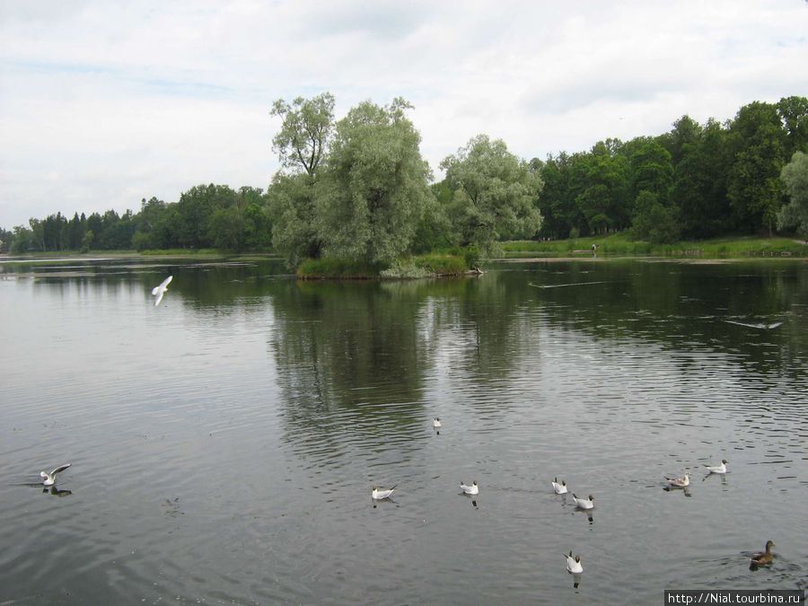 Прогулки по Гатчине Гатчина, Россия