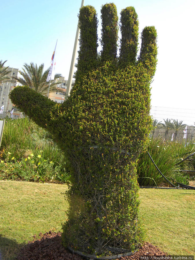Зелёные скульптуры Хайфа, Израиль