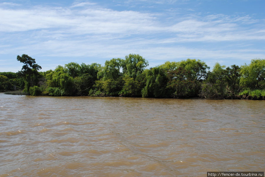 Желтые воды Параны Тигре, Аргентина