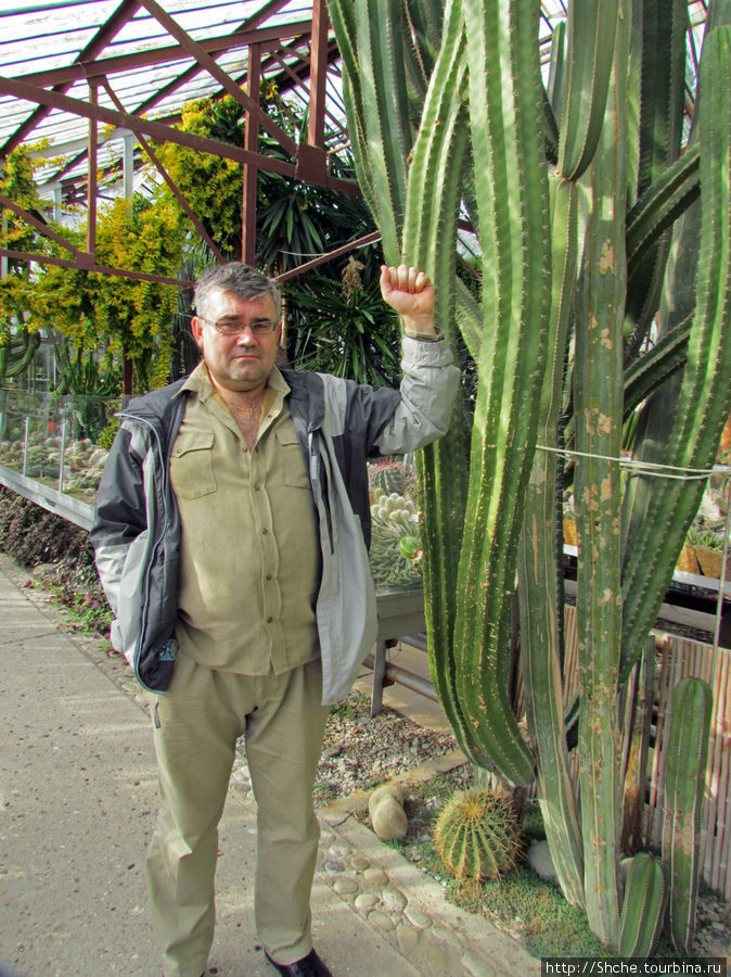 Оранжерея кактусов Никита, Россия
