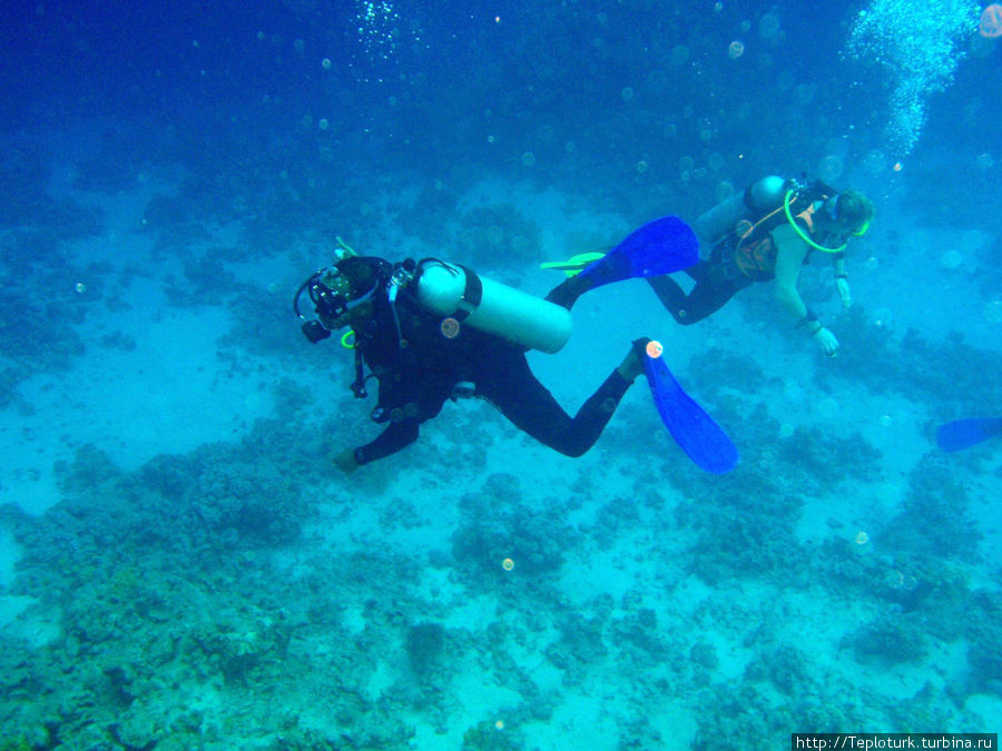 аквалангисты на глубине Шарм-Эль-Шейх, Египет