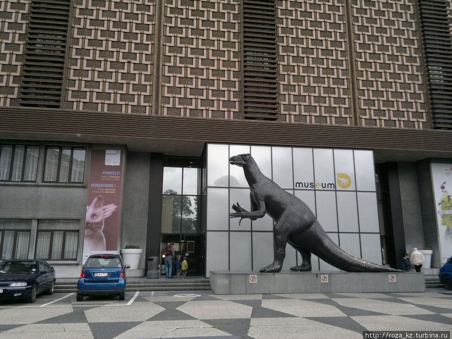 Музей естественных наук Брюссель, Бельгия