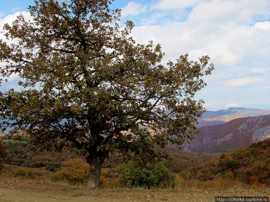 Осень в Сакартвело Марнеули, Грузия