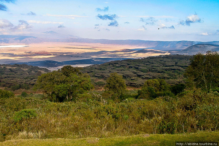 Танзания. Национальный парк Нгоронгоро Нгоронгоро (заповедник в кратере вулкана), Танзания