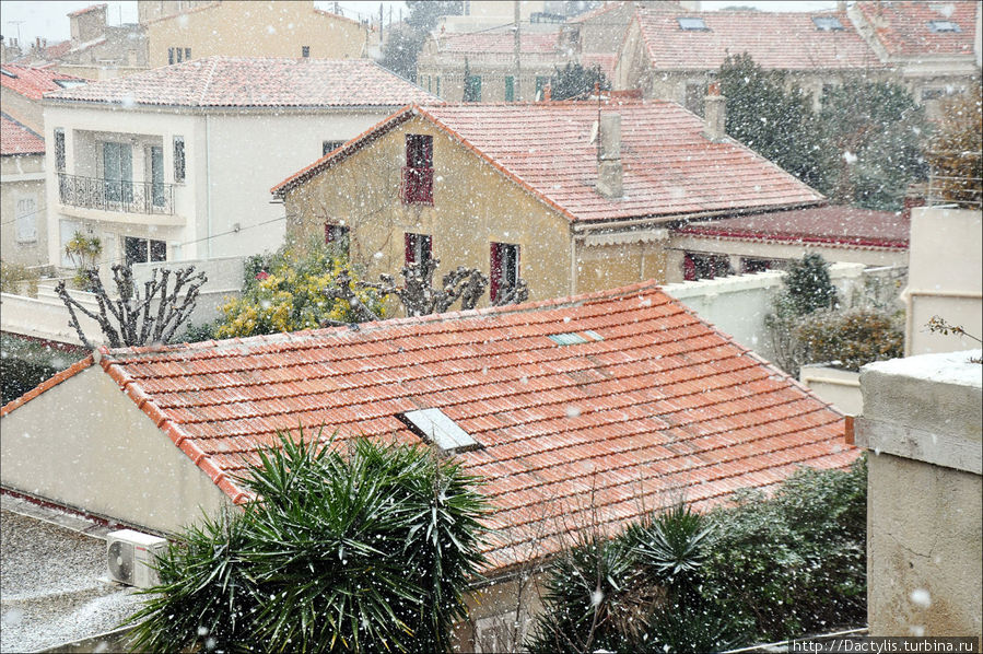 Снег и пальмы Марсель, Франция