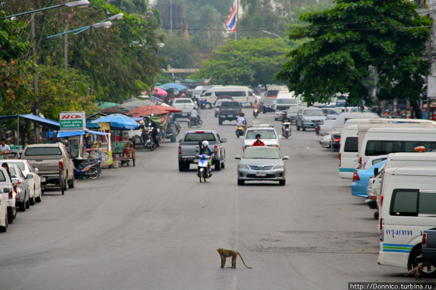 дойдя до центра дороги, остановись и посмотри налево Лоп-Бури, Таиланд