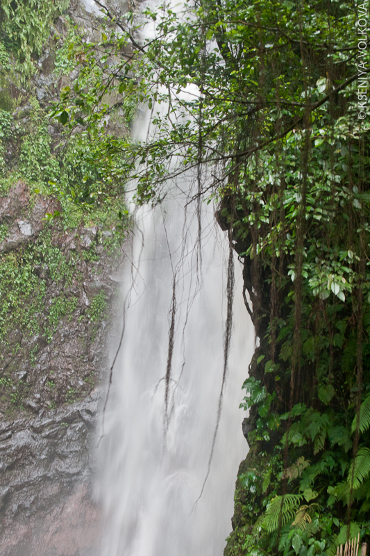 Лес: водопады северного Бали Лес, Индонезия