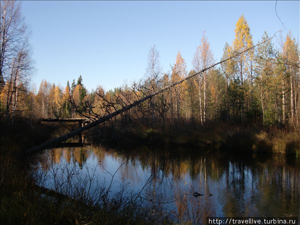 Экспедиция на квадроциклах 