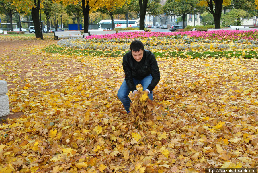 Золотая осень Питера! Санкт-Петербург, Россия