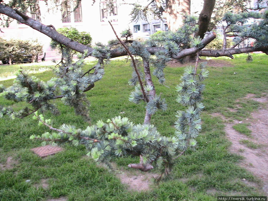 Падуя– город для паломников и искусствоведов Падуя, Италия