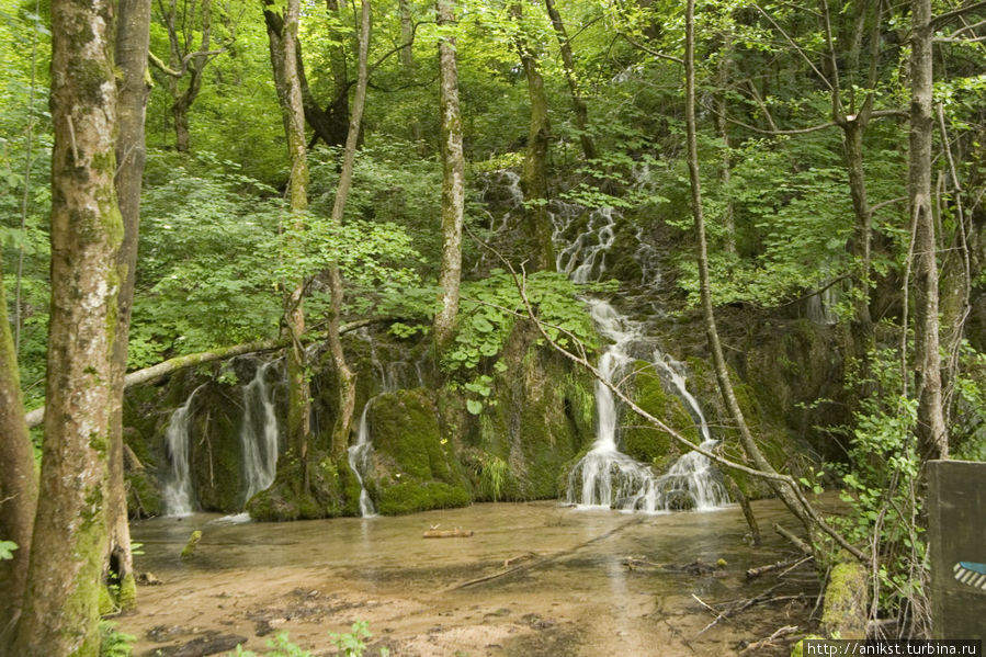 Царство чистейшей воды Национальный парк Плитвицкие озёра, Хорватия