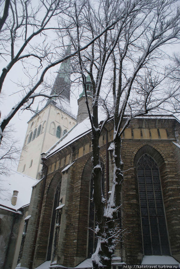 Церковь Святого Олафа (Олависте) Таллин, Эстония