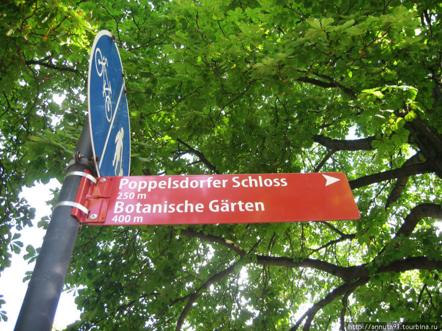 Прогулка по Бонну Бонн, Германия
